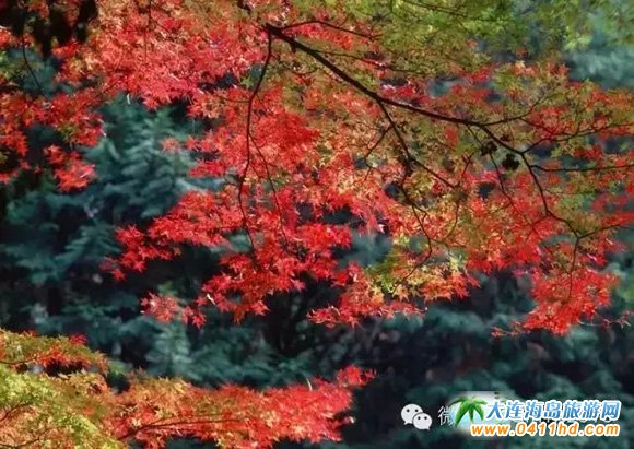 天門山國家森林公園