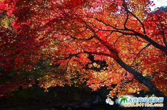 天門山國家森林公園