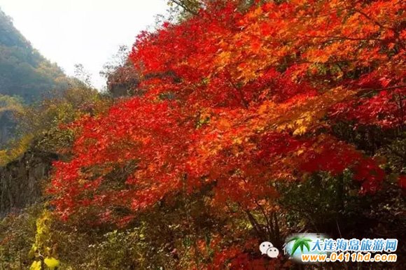 天門山國家森林公園