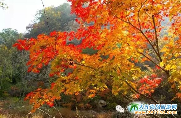 天門山國家森林公園