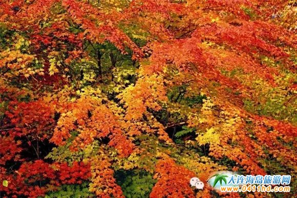 天門山國家森林公園