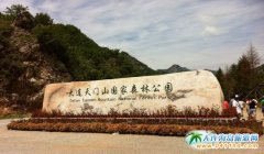 2017BfT{Ưһ2017BfT{Ưһ