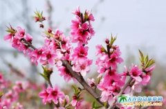 銘湖牧場五一特惠！大連銘湖度假區優惠活動